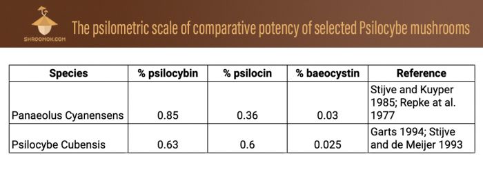 Сравнительная таблица алкалоидов в грибах псилоцибе кубенсис и панеолус