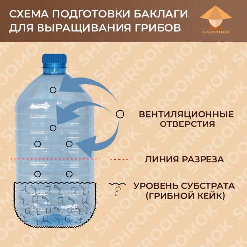 Схема подготовки пластиковой баклажки для культивации грибов