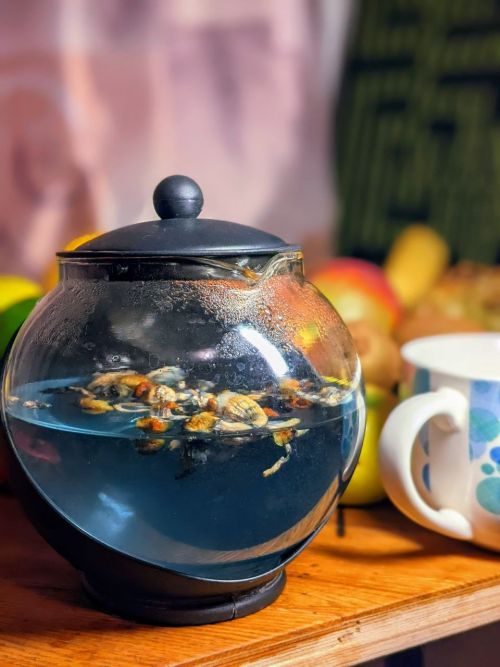 Чай с волшебными грибами. Фото Lora Li
