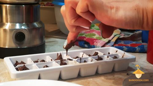 Разливаем шоколад с грибами в форму